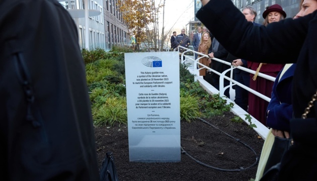 Viburnum shrub planted in front of European Parliament as sign of support for Ukraine