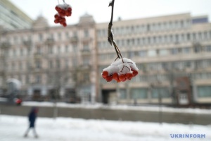 У Києві календарна зима ввійшла в трійку найтепліших