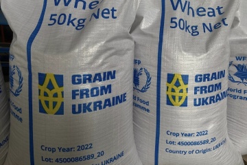 Ukrainisches Getreide mit Schiff aus der Türkei nach Nigeria geliefert