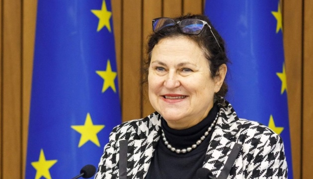 Закон про лобізм: посол ЄС очікує на порозуміння між урядом і громадянським суспільством