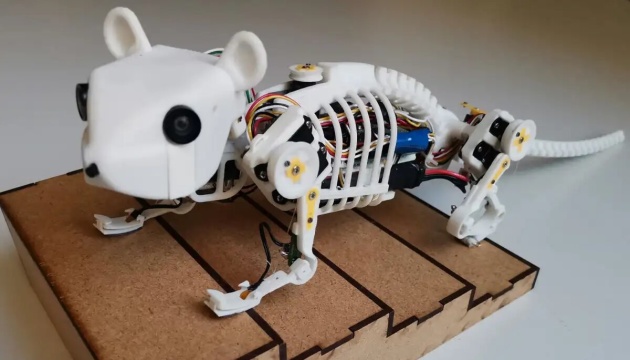 Дослідники з Німеччини та Китаю створили робота-мишу з гнучким хребтом