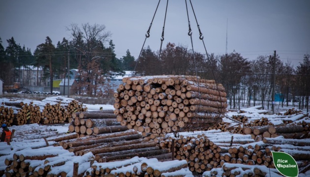 «Ліси України» продаватимуть надлишки паливної деревини іноземним покупцям