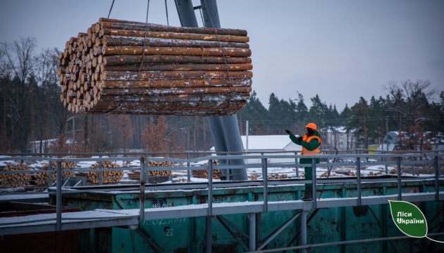 «Ліси України» збільшили постачання ЗСУ деревини для будівництва фортифікаційних споруд