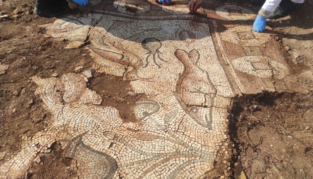 У Туреччині виявили стародавні мозаїки із зображенням морських істот