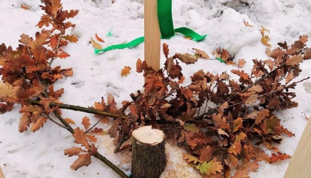 Поліція Києва відкрила справу за фактом знищення дуба, посадженого у пам'ять про Романа Ратушного