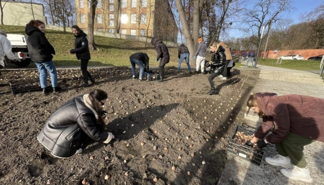 На меморіалі пам’яті Небесної сотні у Львові висадили 5000 тюльпанів