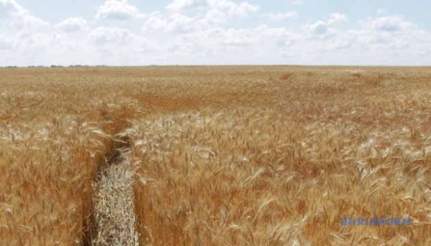 В Україні торік продали понад 114 тисяч гектарів земель сільгосппризначення