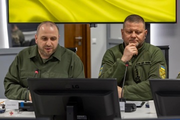 Saluschnyj und Umerow nehmen im Parlament an Prüfung neuen Gesetzentwurfs zu Mobilmachung teil