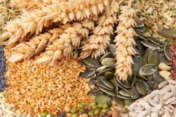 USAID AGRO proporcionará semillas de hortalizas a fincas afectadas por la guerra