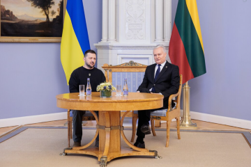 Zelensky meets with Lithuanian counterpart Nauseda in Vilnius