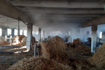 Une entreprise agricole endommagée lors d’une frappe russe sur Odessa 