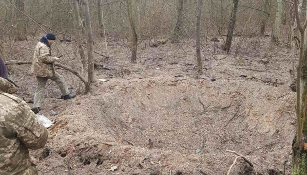 У Києві внаслідок ракетної атаки пошкоджені ділянки двох лісопаркових господарств