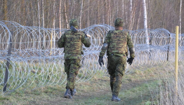 Естонія побудує на кордоні з Росією лінію оборони з 600 бункерів - ЗМІ