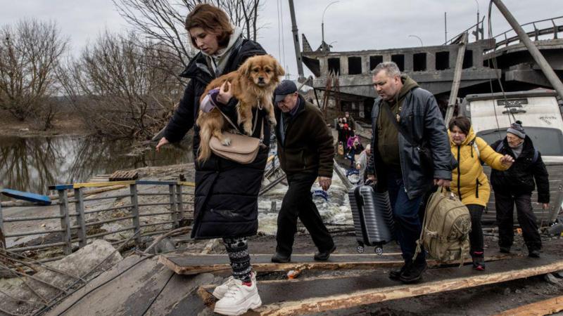 Багатьом людям за кордоном війна в Україні запам'яталася в тому числі дбайливим ставленням українців до тварин. Фото