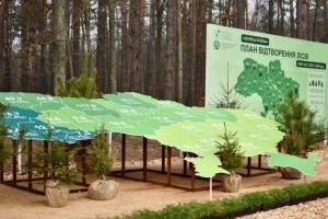 За програмою «Зелена країна» цьогоріч планується висадити 260 мільйонів дерев