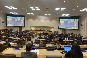 В ООН обговорили проблеми гуманітарного розмінування в Україні