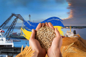 Чи справді український аграрний експорт загрожує економіці ЄС