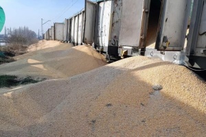 Zerstörtes Getreide: Ukrainischer Botschafter verlangt Schuldige zu finden 