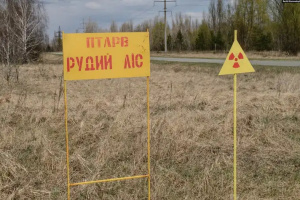 Російські військові, які окопувалися в Рудому лісі у Чорнобильській зоні, не вижили