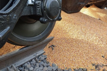 In Poland, 160 tonnes of Ukrainian grain spilled out of railroad cars