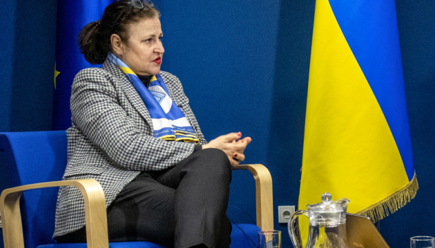 EU Ambassador on trade liberalization with Ukraine: Not ban, but quantitative restrictions