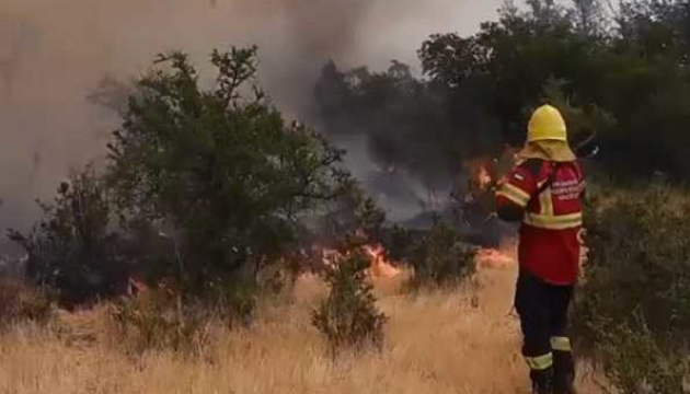 В Аргентині лісові пожежі знищили 8 тисяч гектарів