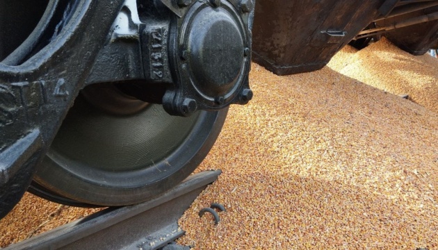 Polish IM speaks about spilled Ukrainian grain: Perpetrators will be detained