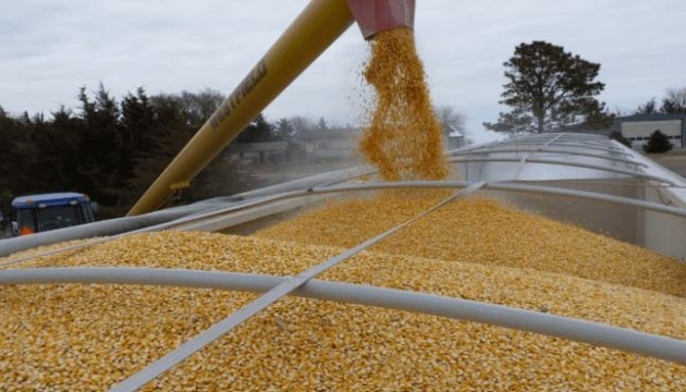 Almost 500 tons of grain destroyed in Donetsk region due to Shahed attack