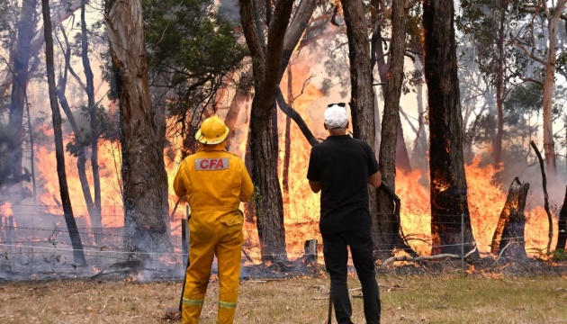Лісові пожежі в Австралії охопили понад 20 тисяч гектарів