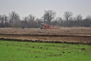 Ukraine’s arable land decreases by 20% since Russia’s full-scale invasion