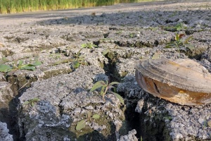 У Києві колишнього директора КП «Плесо» підозрюють у розтраті ₴700 тисяч під час розчищення озера Синє