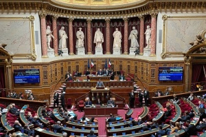 French Senate backs bill to support integration of Ukrainian IDPs