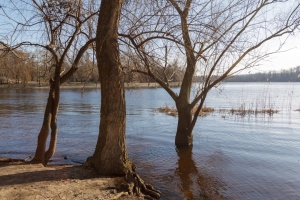 Водопілля цьогоріч розпочалося раніше, ніж очікувалося - Укргідрометцентр 