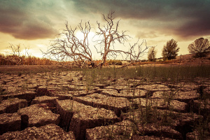 Передвісники кліматичної катастрофи: зміни, що можуть потрясти світ