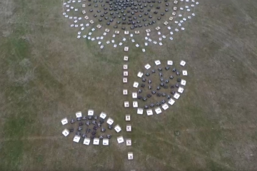 Kherson "sunflower from drones" included in Ukrainian record book