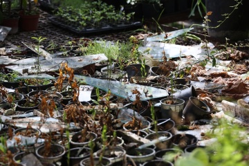 露軍のミサイル攻撃の被害を受けたオデーサの植物園