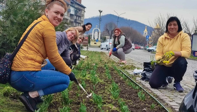 У Мукачеві провели толоку на Алеї тюльпанів волонтера Романа Жука