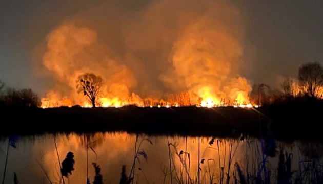 Пожежа на Осокорківських озерах: поліція розглядає всі версії, включно з підпалом - КМВА