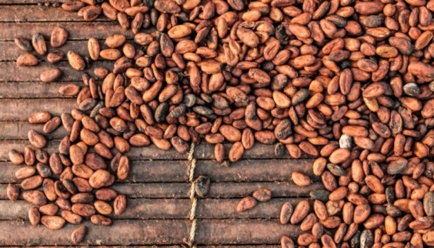 Ціна какао-бобів вперше перевищила $9 тисяч за тонну - Bloomberg