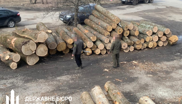На Сумщині ДБР викрило масштабні оборудки з лісом