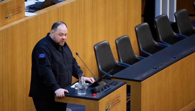 Стефанчук закликав країни Дунайського регіону не визнавати результати «виборів Путіна»