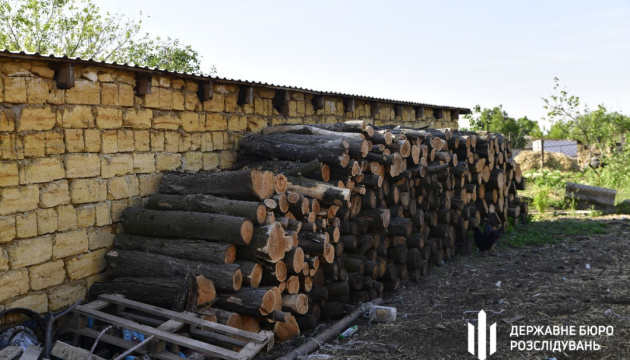 На Одещині посадовець лісгоспу вирубав у Нацпарку дерев на ₴145 мільйонів