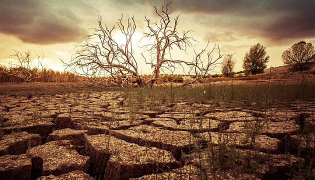 Передвісники кліматичної катастрофи: зміни, що можуть потрясти світ