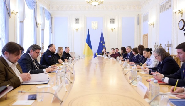 Стефанчук і представники групи Європарламенту Renew Europe обговорили євроінтеграцію України
