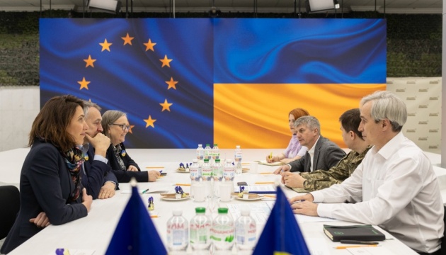 Defense Ministry, European Parliament representatives discuss acceleration of arms supply