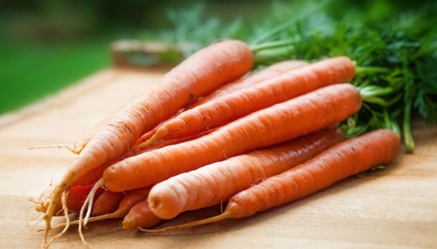 В Україні дешевшає морква нового врожаю - EastFruit