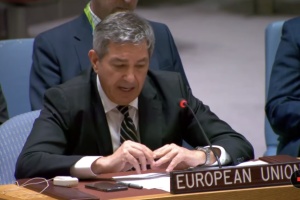 Russia fully responsible for risks at ZNPP it is causing – EU at UN Security Council 

