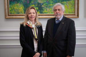 У МЗС України обговорили з послом можливість залучення Бразилії до Формули миру