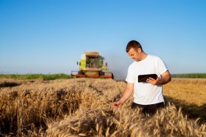 Мінагрополітики затвердило форму бізнес-плану для фермерських господарств