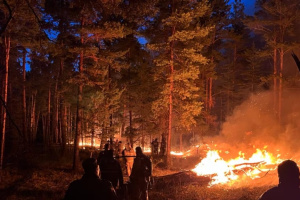 Після повеней у Росії почалися лісові пожежі